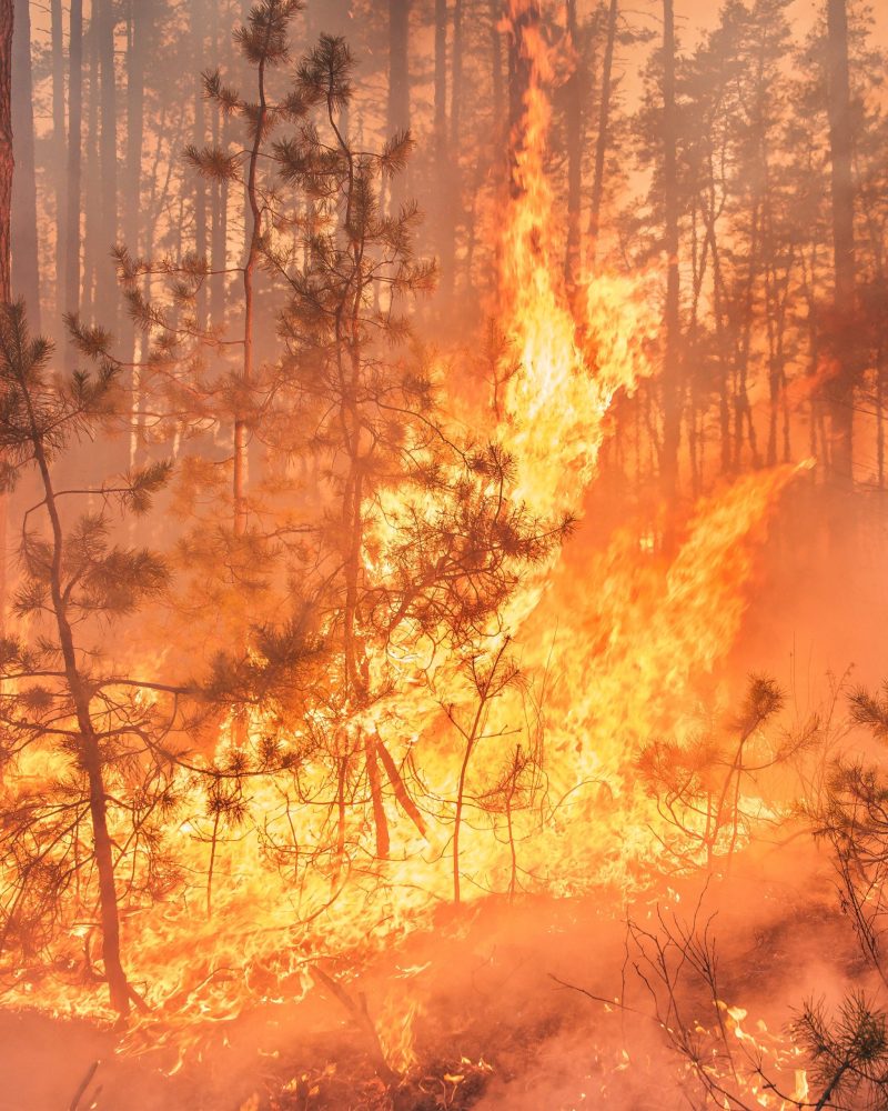 Extreme Weather & Wildfires