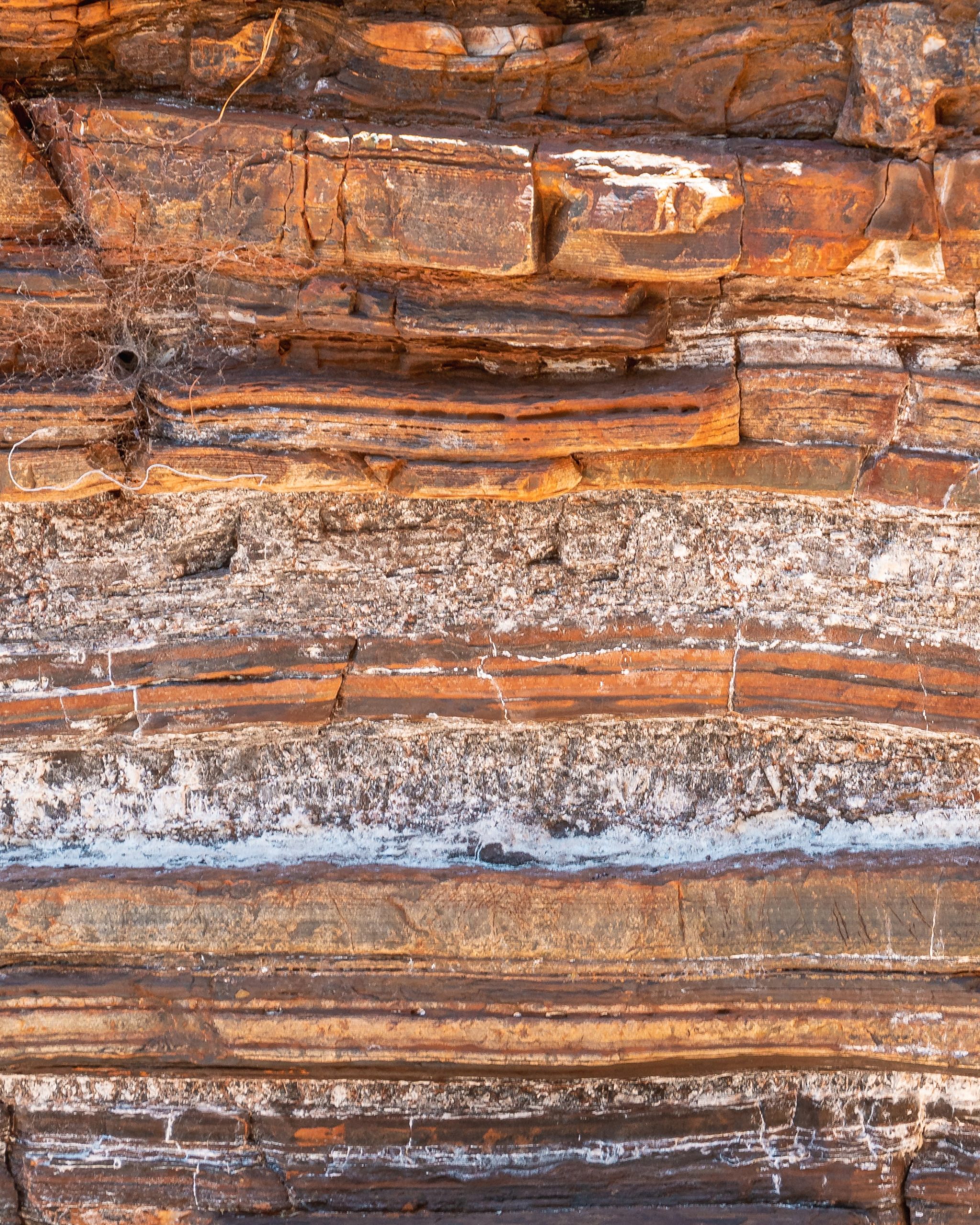 Rock layers show historical climate change