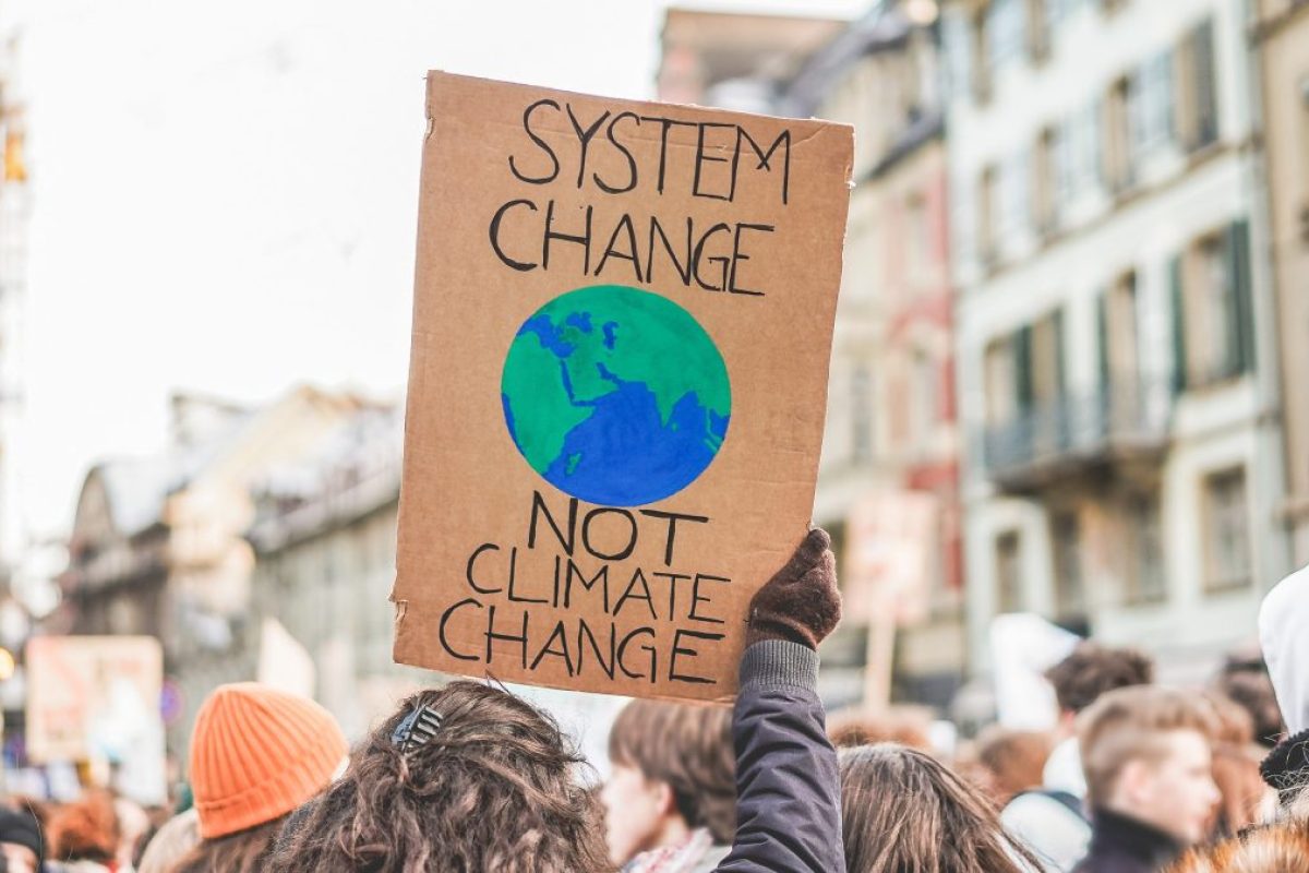 Systemic change climate protest