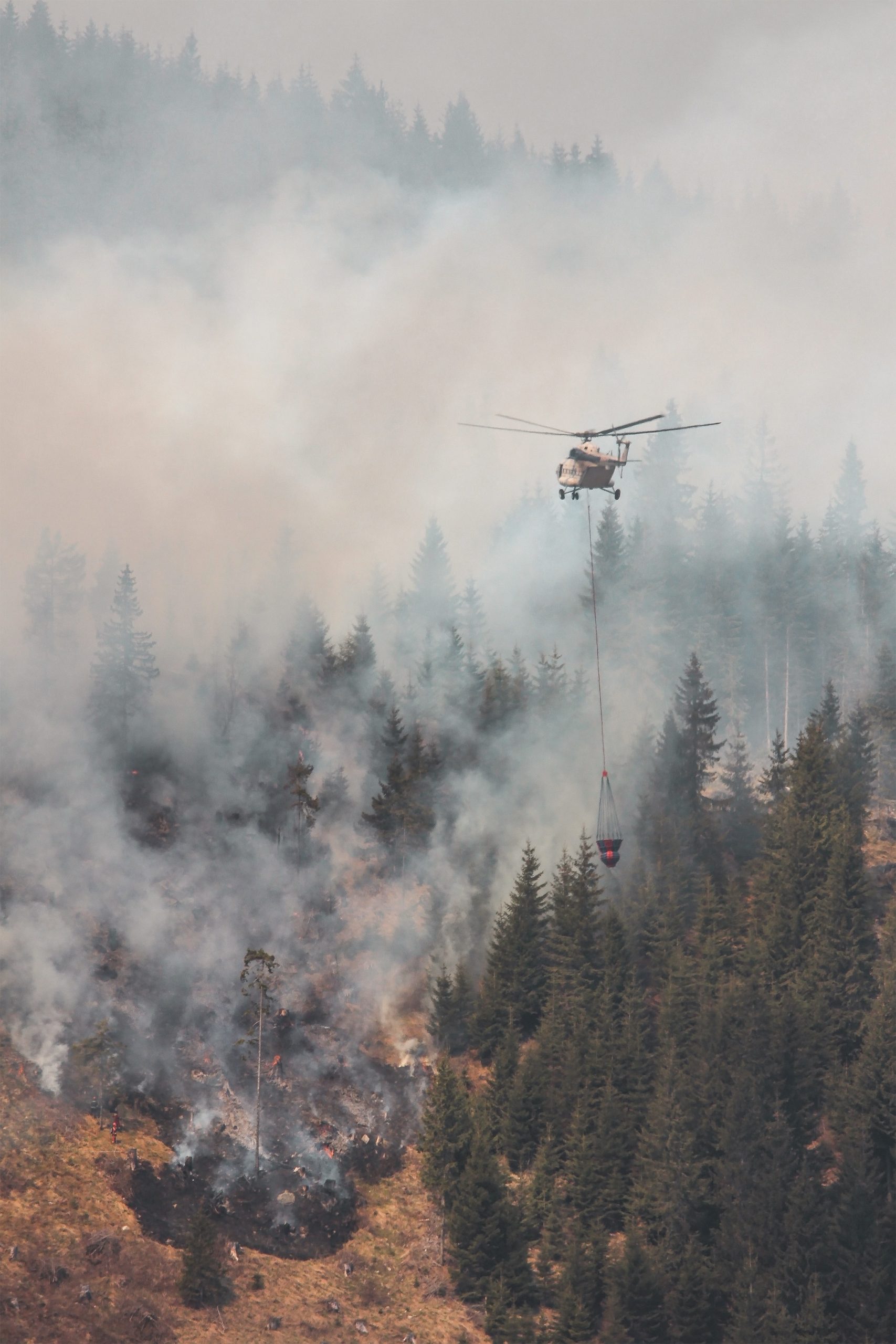 Helicopter extinguishing wildfires